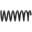 Ressort de suspension TEKNÖR ASZ-CH-011 - Visuel 3