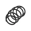 Ressort de suspension TEKNÖR ASZ-CT-027 - Visuel 2