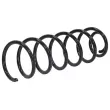 Ressort de suspension TEKNÖR ASZ-CT-032 - Visuel 1
