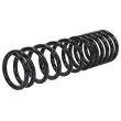 Ressort de suspension TEKNÖR ASZ-FR-016 - Visuel 2
