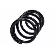 Ressort de suspension TEKNÖR ASZ-FR-024 - Visuel 2