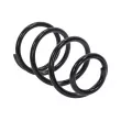 Ressort de suspension TEKNÖR ASZ-FR-025 - Visuel 2
