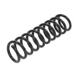 Ressort de suspension TEKNÖR ASZ-FR-031 - Visuel 1
