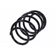 Ressort de suspension TEKNÖR ASZ-FR-039 - Visuel 2