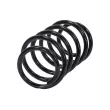 Ressort de suspension TEKNÖR ASZ-NS-011 - Visuel 2