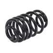 Ressort de suspension TEKNÖR ASZ-NS-019 - Visuel 1