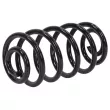 Ressort de suspension TEKNÖR ASZ-PL-021 - Visuel 2
