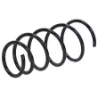 Ressort de suspension TEKNÖR ASZ-PL-052 - Visuel 1