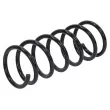 Ressort de suspension TEKNÖR ASZ-VV-016 - Visuel 1