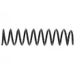 Ressort de suspension TEKNÖR ASZ-VV-019 - Visuel 3