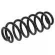 Ressort de suspension TEKNÖR ASZ-VW-011 - Visuel 2
