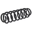 Ressort de suspension TEKNÖR ASZ-VW-033 - Visuel 2