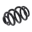 Ressort de suspension TEKNÖR ASZ-VW-077 - Visuel 1