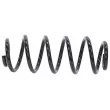 Ressort de suspension TEKNÖR ASZ-VW-089 - Visuel 3