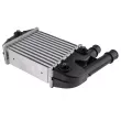 Intercooler, échangeur TEKNÖR CNG-FT-018 - Visuel 2