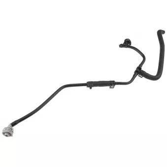 Durite de radiateur TEKNÖR CPP-AU-026