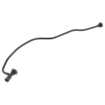 Durite de radiateur TEKNÖR CPP-AU-027