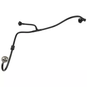 Durite de radiateur TEKNÖR CPP-AU-028