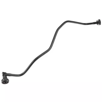 Durite de radiateur TEKNÖR CPP-AU-031