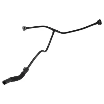 Durite de radiateur TEKNÖR CPP-AU-032