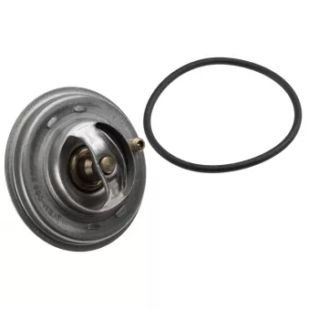 Thermostat, liquide de refroidissement TEKNÖR CTM-BM-088