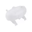 Vase d'expansion, liquide de refroidissement TEKNÖR CZW-RE-016 - Visuel 2