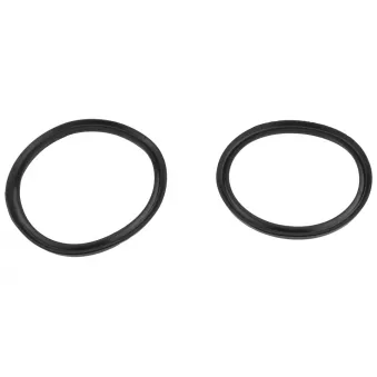 Bague d'étanchéité, gaine de suralimentation TEKNÖR GPP-PL-084