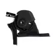 Support moteur TEKNÖR ZPS-HY-567 - Visuel 3