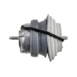 Support moteur TEKNÖR ZPS-JG-001 - Visuel 3