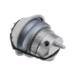 Support moteur TEKNÖR ZPS-JG-002 - Visuel 2