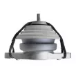 Support moteur TEKNÖR ZPS-JG-003 - Visuel 3