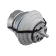 Support moteur TEKNÖR ZPS-JG-014 - Visuel 1