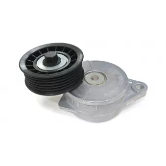 Poulie-tendeur, courroie trapézoïdale à nervures SKF