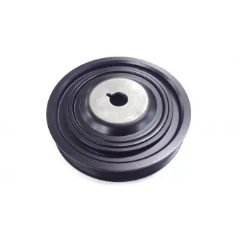 Poulie, vilebrequin SKF