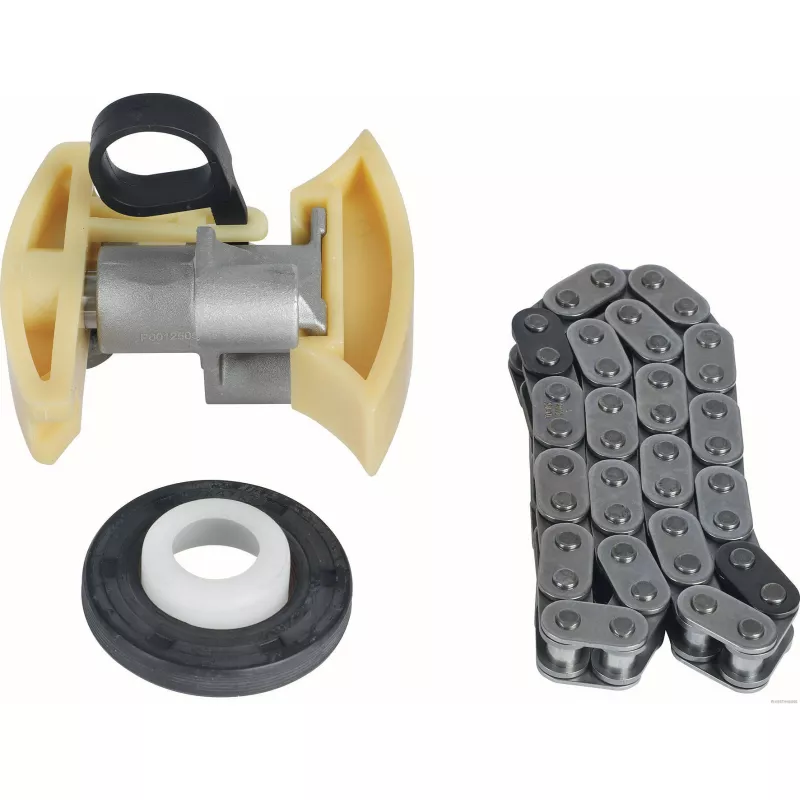 Kit de distribution par chaîne HERTH+BUSS JAKOPARTS J1193009