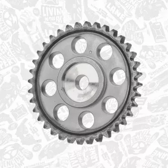 Roue dentée, arbre à came ET ENGINETEAM