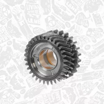 Roue dentée, arbre à contrepoids d'équilibrage ET ENGINETEAM RG0008