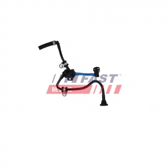 Soupape, filtre à carburant FAST FT01822