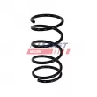 Ressort de suspension FAST FT01910 - Visuel 2