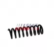 Ressort de suspension FAST FT01925 - Visuel 1