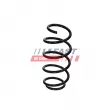 Ressort de suspension FAST FT01943 - Visuel 2