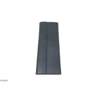 Baguette et bande protectrice, porte arrière gauche TEKNÖR RZ 50210