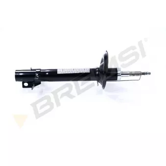 Jeu de 2 amortisseurs arrière BREMSI