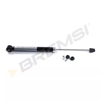 Jeu de 2 amortisseurs arrière BREMSI