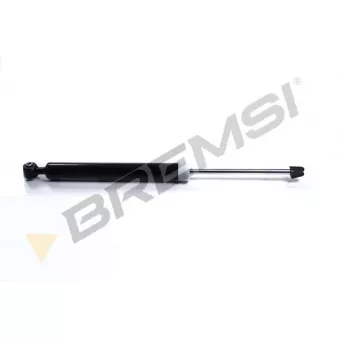 Jeu de 2 amortisseurs arrière BREMSI