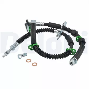 Flexible de frein DELPHI