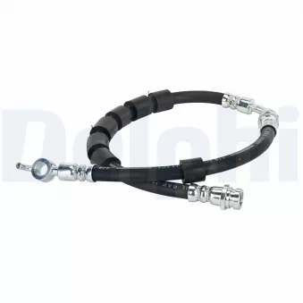 Flexible de frein DELPHI