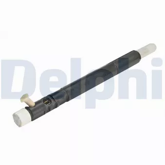 Injecteur DELPHI