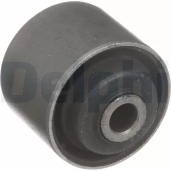 Triangle ou bras de suspension (train arrière) DELPHI TD5569W