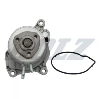 Pompe à eau DOLZ A215